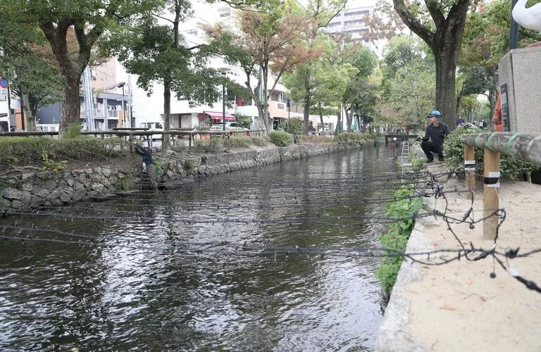 照明を工事 | 岡山県岡山市の電気工事なら有限会社電匠